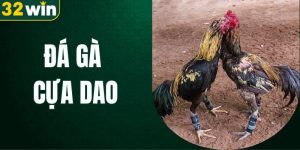 da-ga-cua-dao