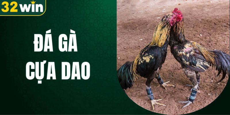 da-ga-cua-dao