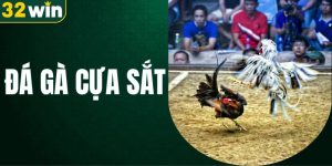 da-ga-cua-sat